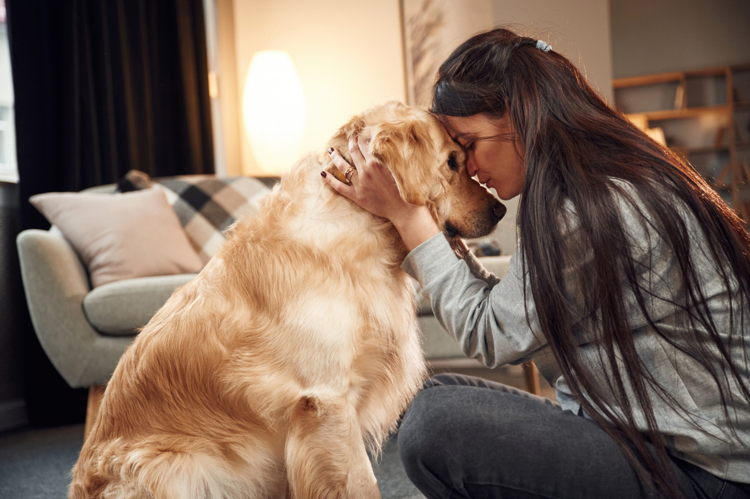 Urnas para mascotas
