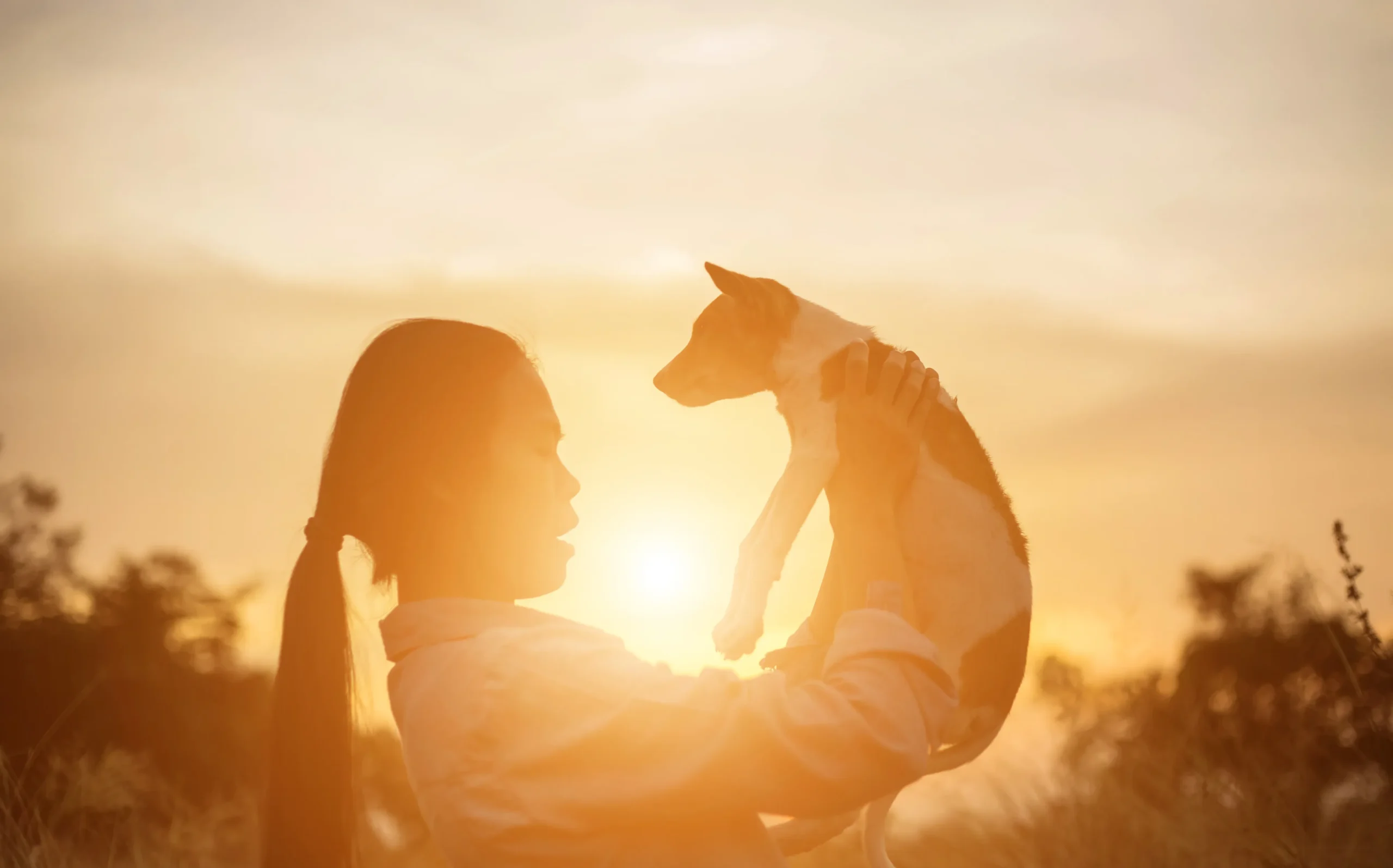 Crematorio para perros en CDMX